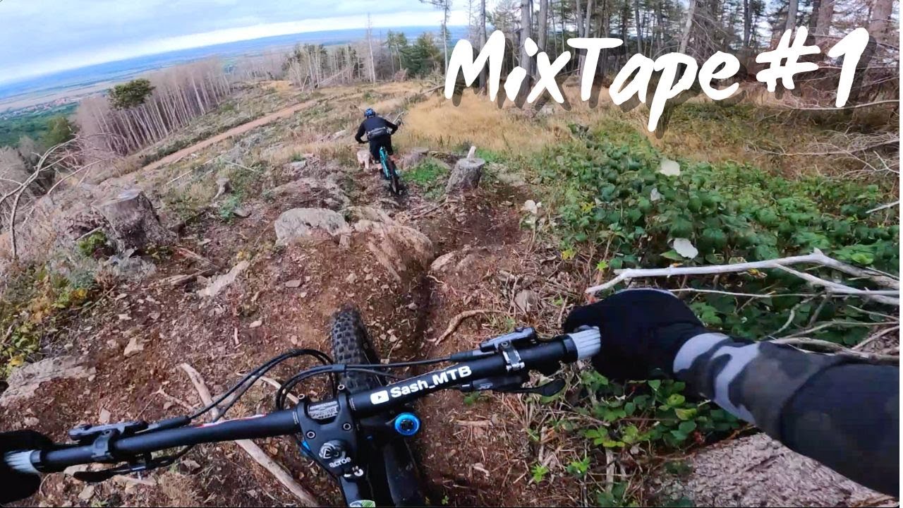 #1 MixTape Harzer Trails | Trailpark, MSB-X, Schulenberg | Canyon Spectral, Propain Rage