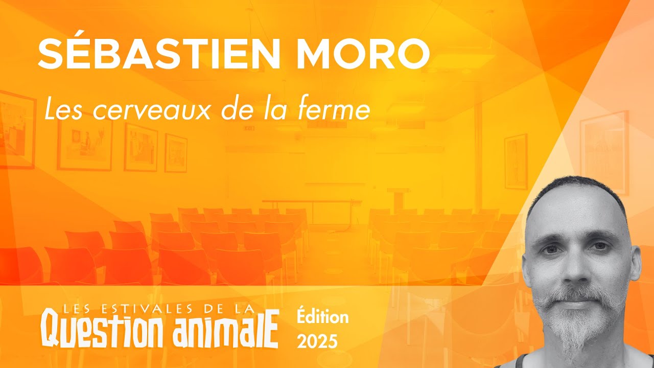 Les cerveaux de la ferme - Sébastien Moro