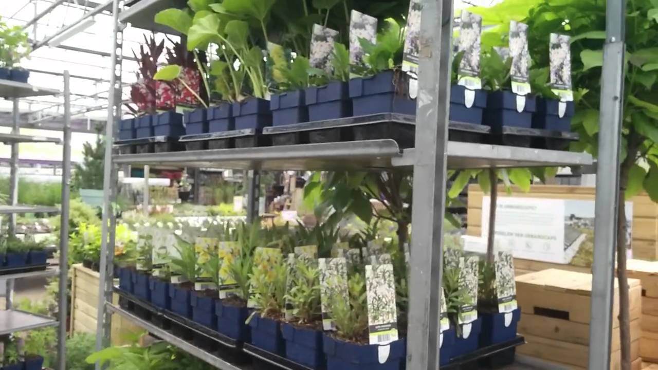 Intratuin Tilburg: Tegel eruit plant erin!