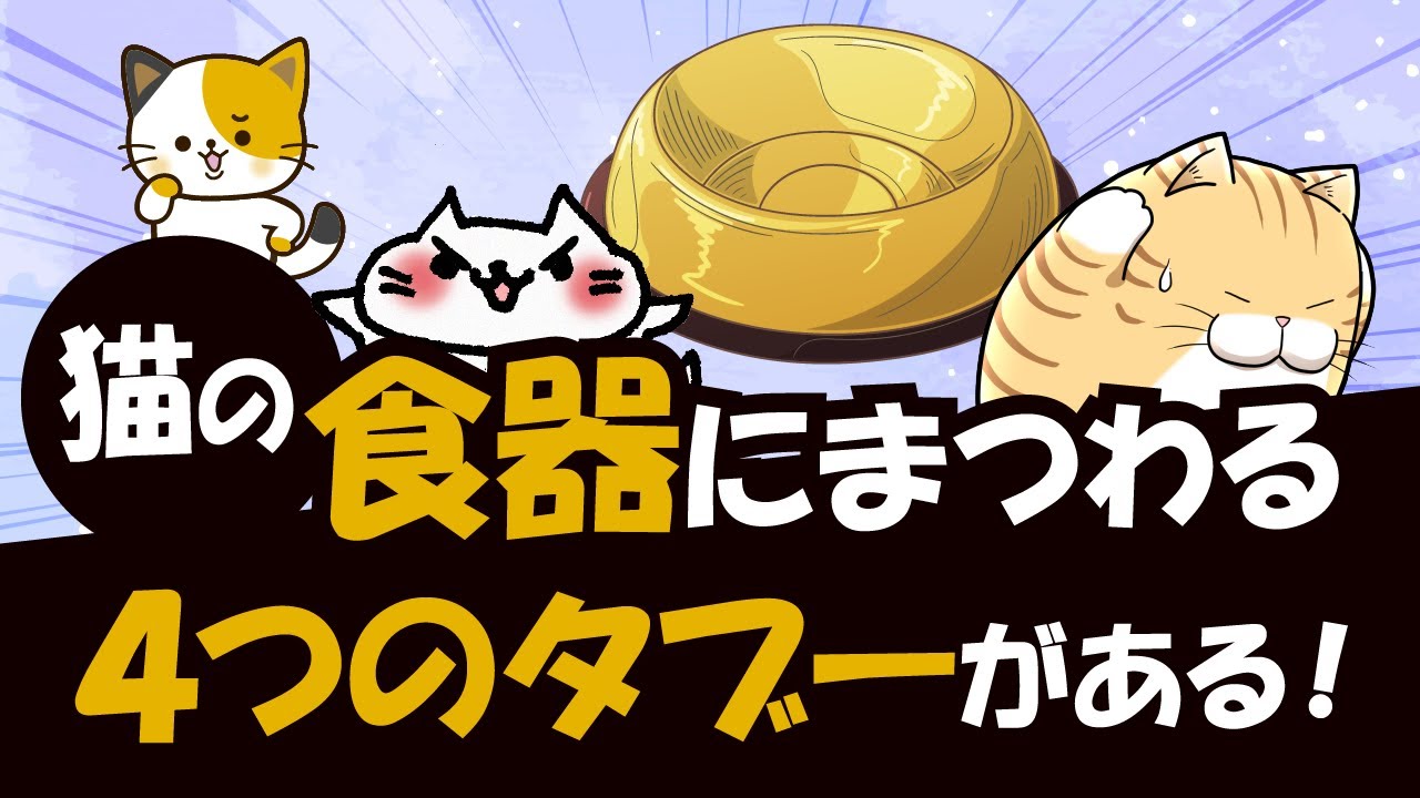 猫の健康を損ねる「食器にまつわる4つのタブー」の理由と食器選びが重要である訳を解説