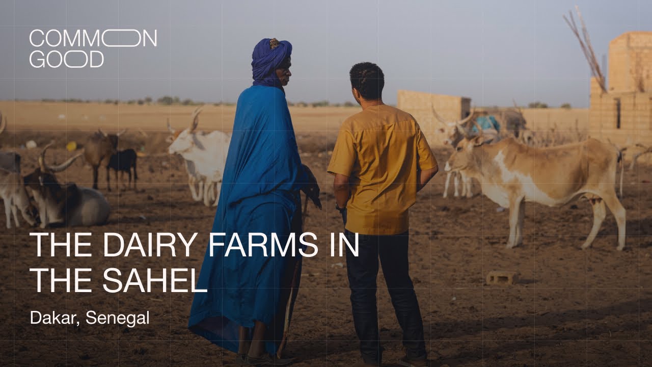 The dairy farms in the Sahel - Common Good