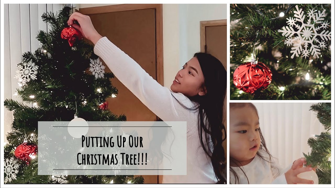 Putting Up Our Christmas Tree!! | Korean BBQ | A Day In The Life | Vlog