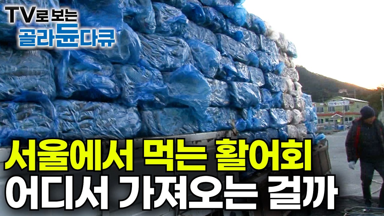 퇴근하고 먹는 싱싱한 우럭. 어디서 어떻게 오는 걸까?｜전국에 우럭 참돔 활어 횟감 수급하는 초대형 가두리 양식장｜통영ㅣ극한직업｜#골라듄다큐