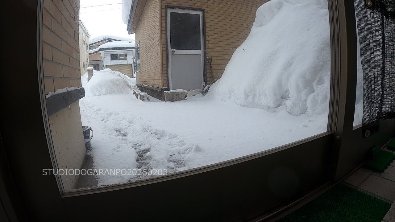 除雪(143) 秋田県横手市 2026年2月3日