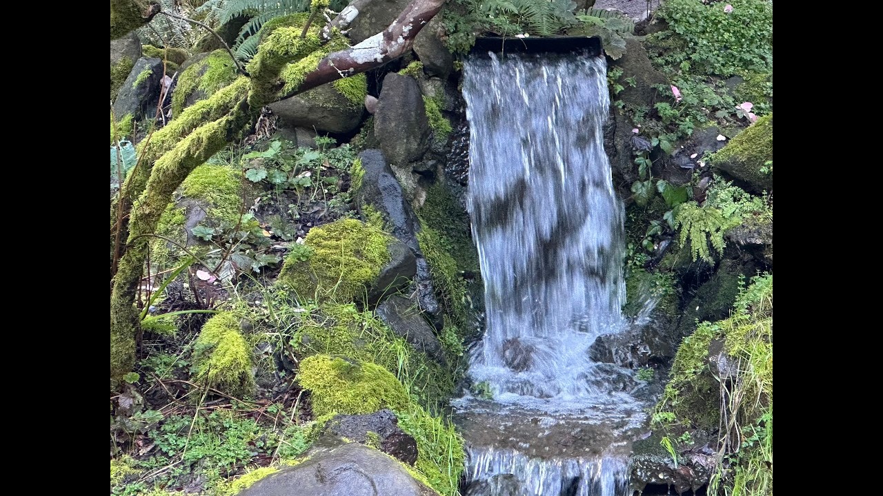 Let the Living Water Flow