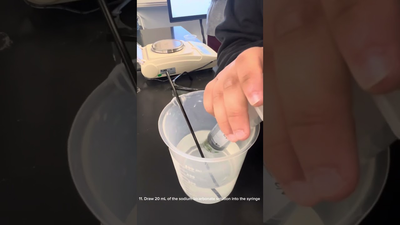 AP Biology - Photosynthesis Lab Procedure Video