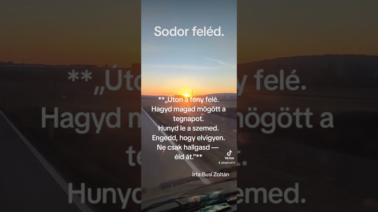 Sodor feléd