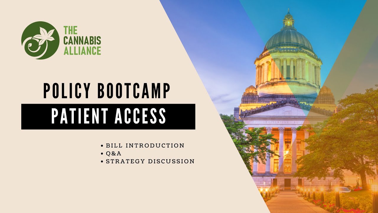 Policy Bootcamp   Patient Access