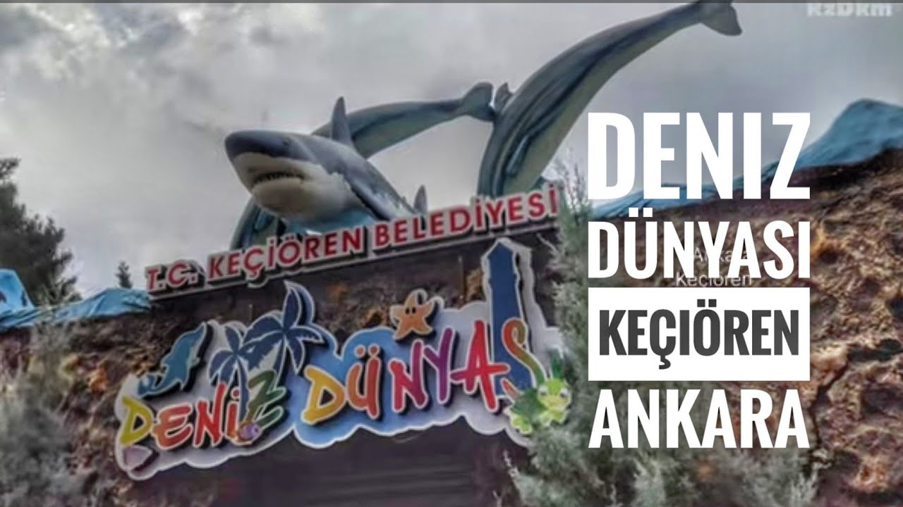 Deniz Dünyası | Keçiören | Ankara #DenizDünyası, #Akvaryum, #Keçiören