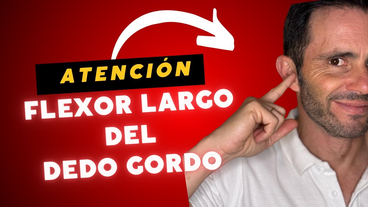 💪🏼👣📐 Exploramos el ¡¡¡FLEXOR LARGO DEL DEDO GORDO!!!