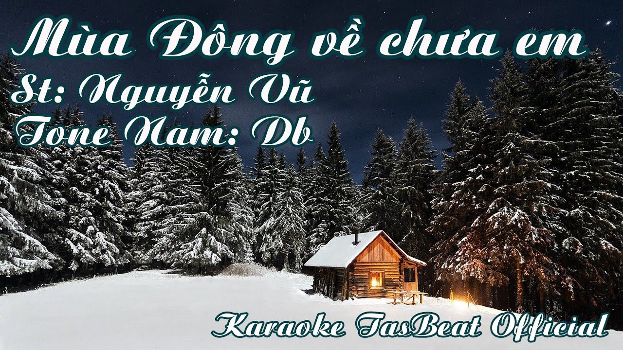 Karaoke Mùa Đông Về Chưa Em Tone Nam | TAS BEAT