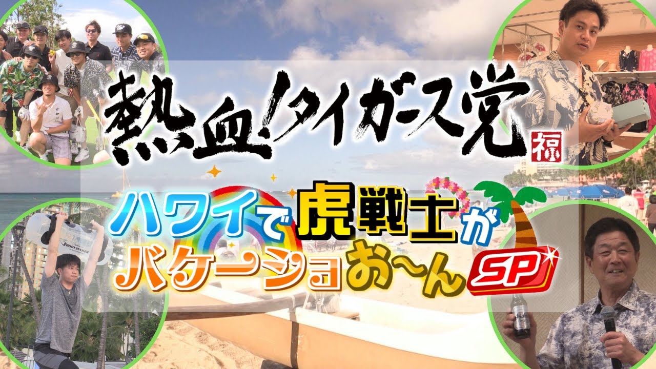 【アーカイブ】熱血タイガース党ハワイ優勝旅行SP「ハワイで虎戦士がバケーショおーんSP」#熱血タイガース党