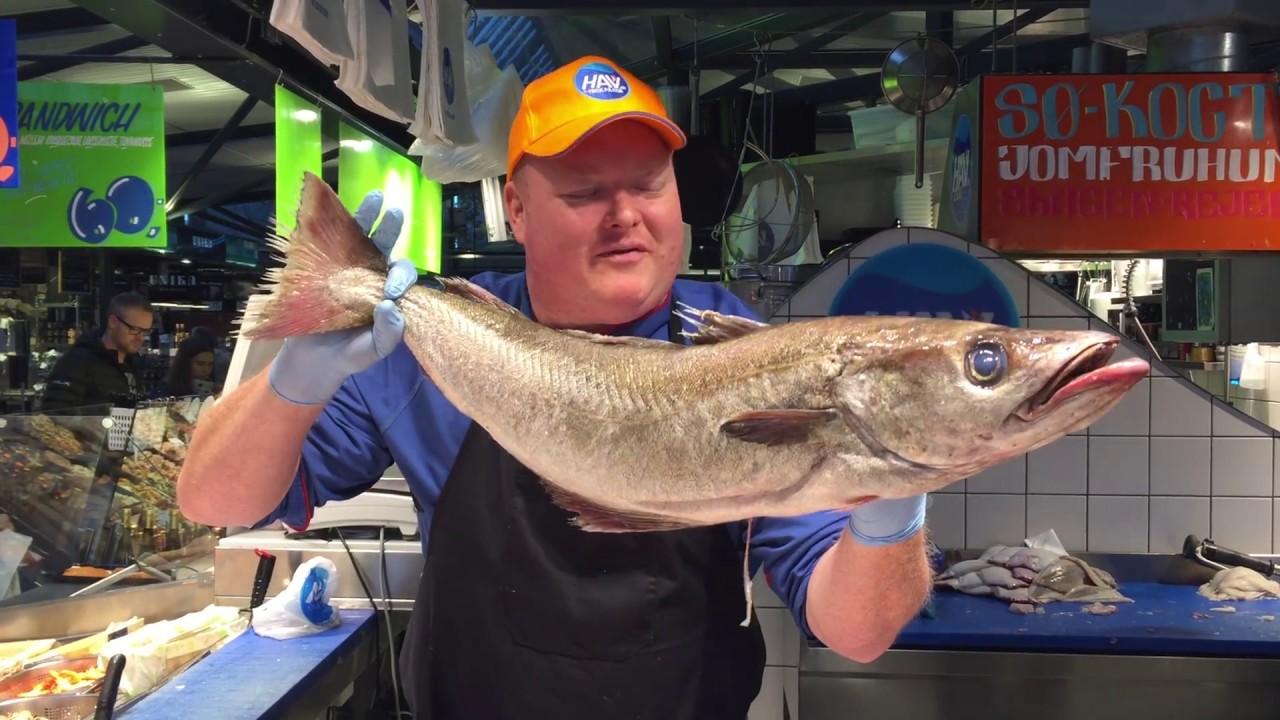 Dansk fisk: Lyssej