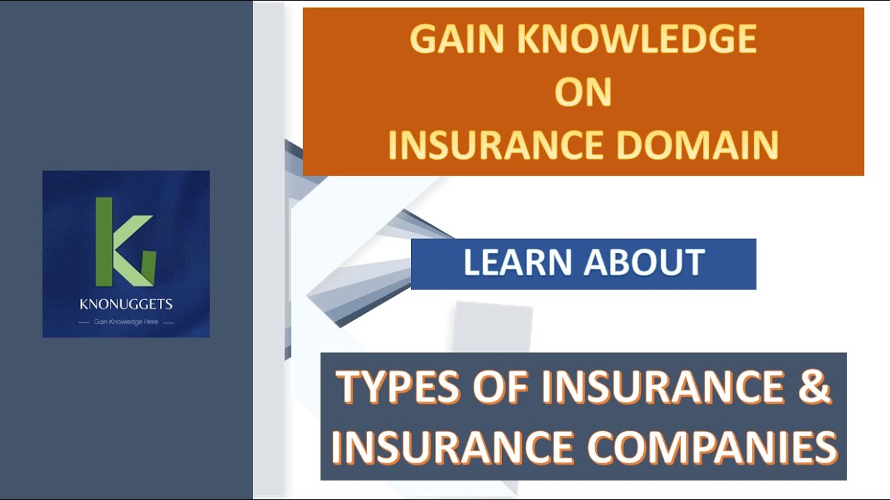 Insurance Domain Training - 4. Types of Insurance & Insurance Companies