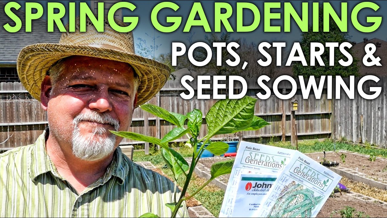 Spring Potting, Planting and Seed Sowing! || Black Gumbo