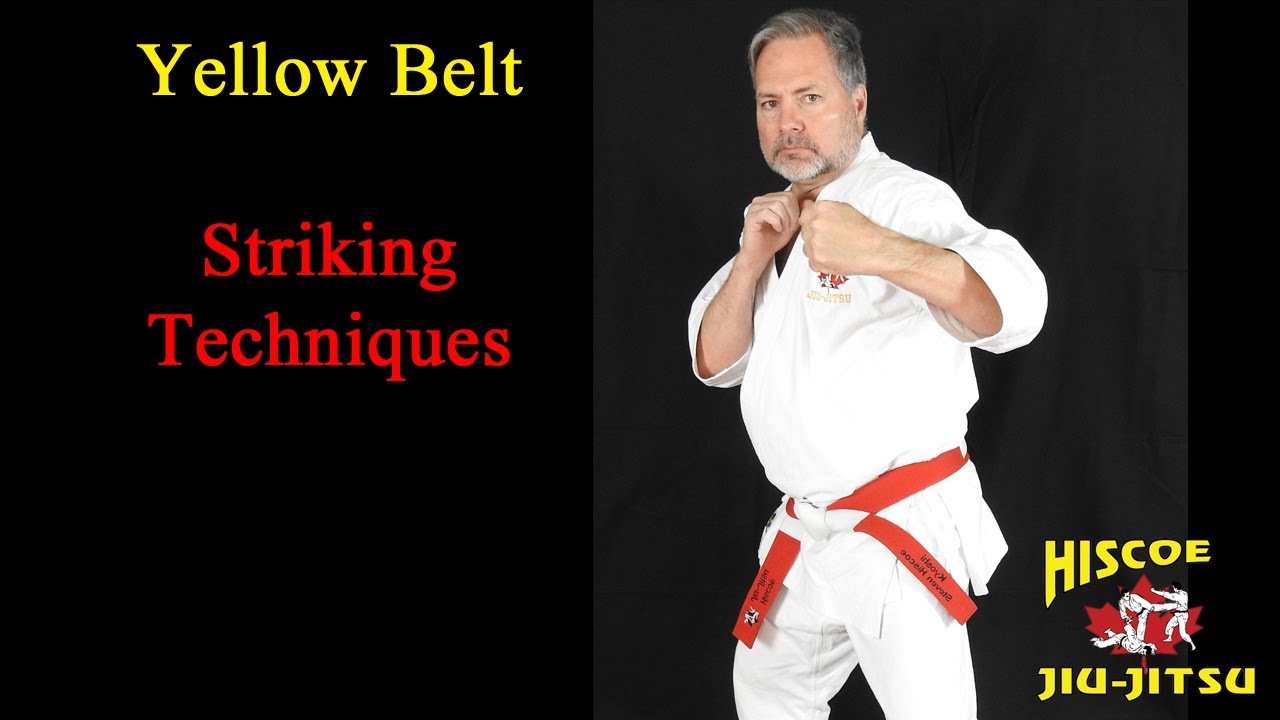 White to Yellow Striking Techniques - Hiscoe Jiu-Jitsu