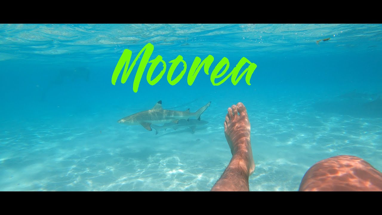 Moorea family trip 2023
