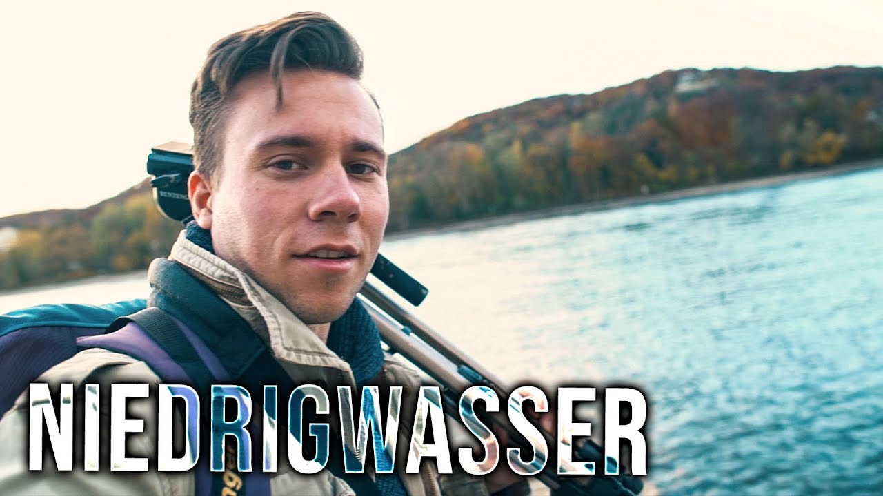 Extremes NIEDRIGWASSER bei Bad Honnef - Entspannter Spaziergang am Rhein