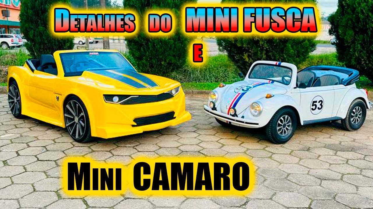 Mini CAMARO 210cc ficou PRONTO - Mostrando DELHALHES