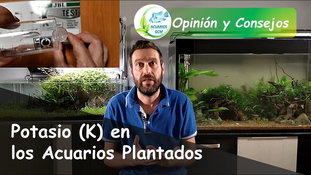 Potasio y su USO/ABUSO en el Acuario Plantado: Opinión, Consejos e Importancia del Test de K