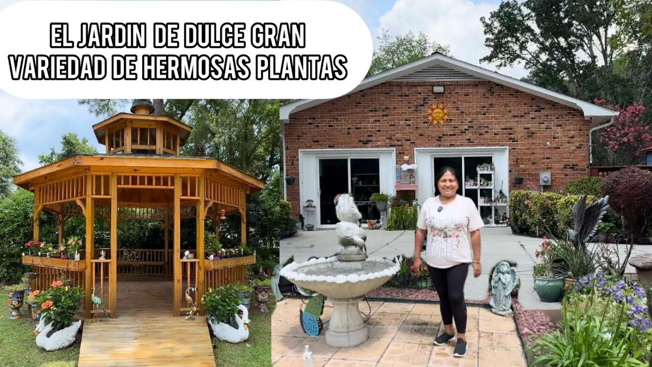 VISITANDO EL HERMOSO JARDÍN DE DULCE Gran variedad de plantas EN Jacksonville NC