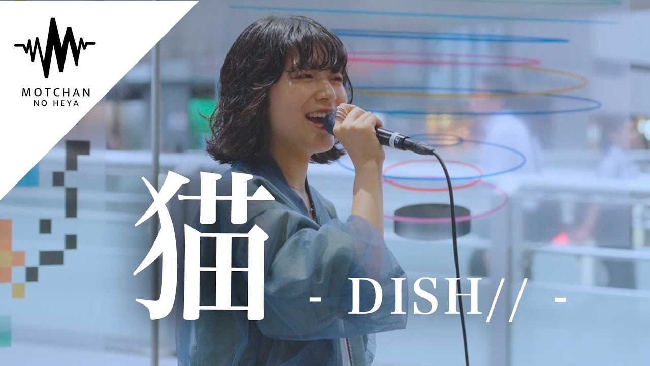 歌い始めた途端、多くの人が足を止めた歌声が最高すぎた!! 猫 / DISH// （Covered By かわにしなつき）