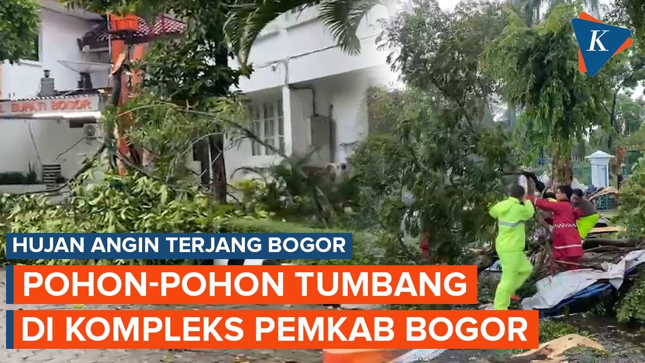 Hujan dan Angin Kencang Tumbangkan Pohon-pohon di Perkantoran Pemda Bogor