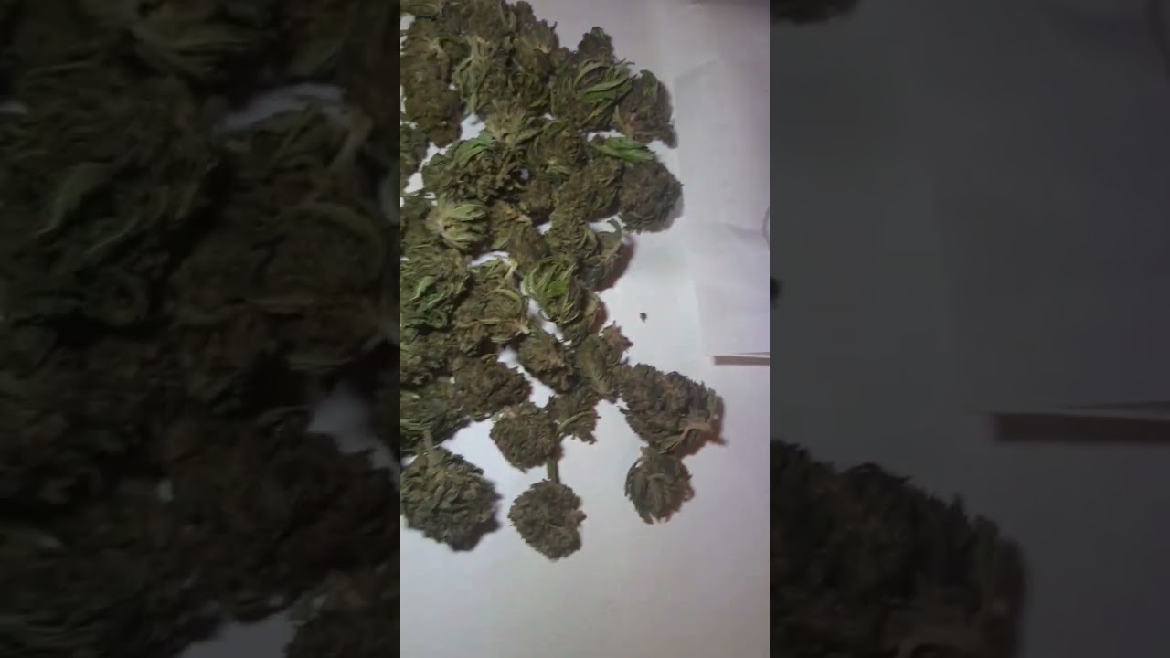 cbd from tweedle farms sour pineapple