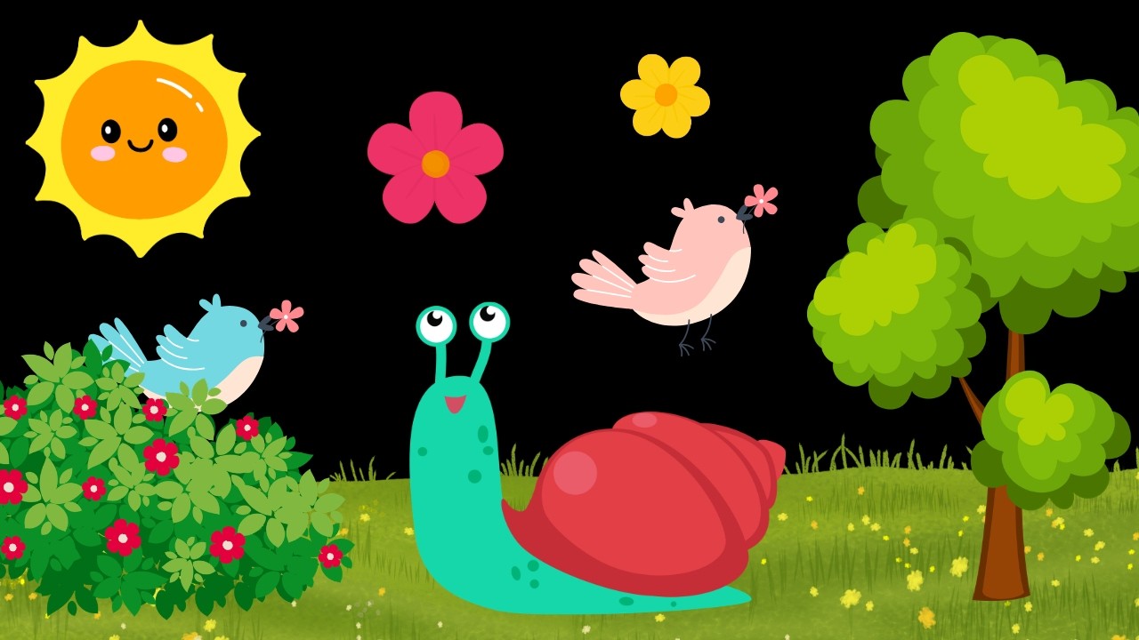 Baby Sensory Video - Newborn Visual Stimulation - Sensory Videos For Babies - Calm Music #baby