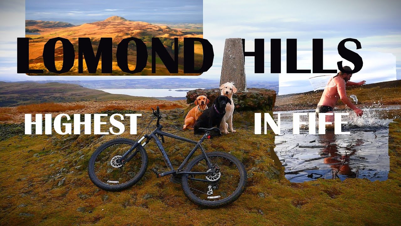 Lomond hills - mountain biking the highest peaks in Fife with dogs