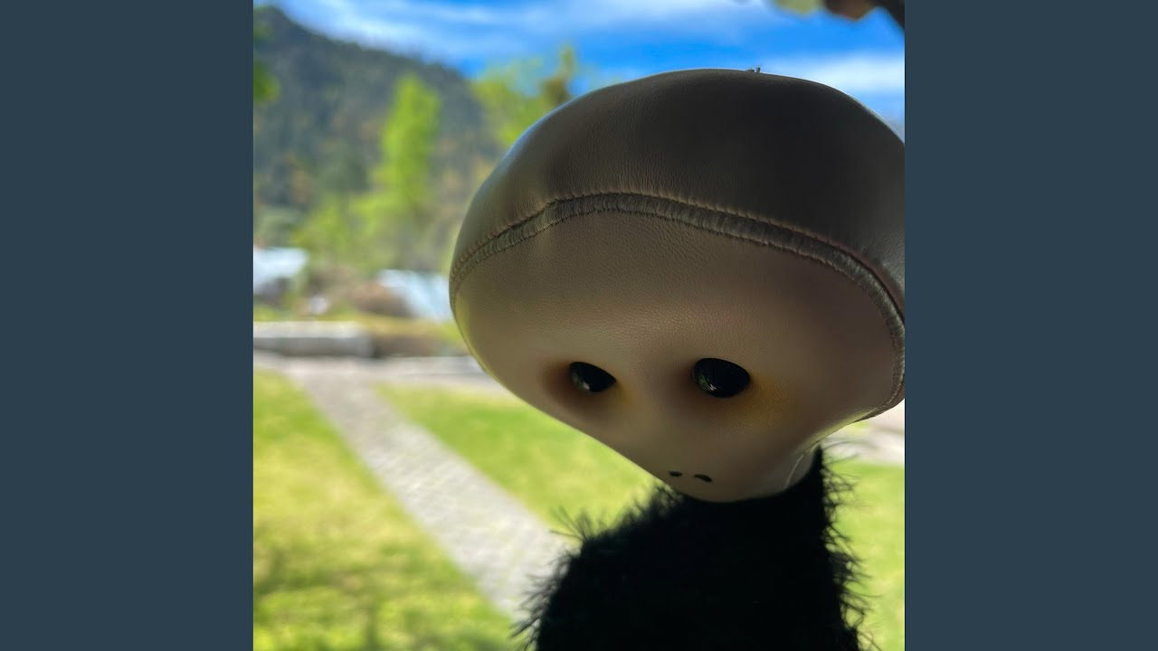 LA PICHAERA