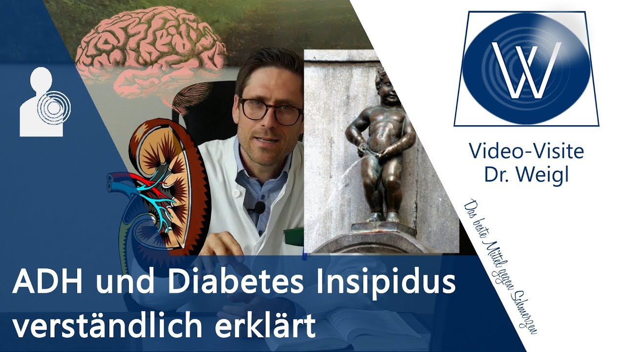 Ständiger Harndrang❗Diabetes Insipidus⚡ Probleme Antidiuretisches Hormon (ADH, Vasopressin) vs SIADH