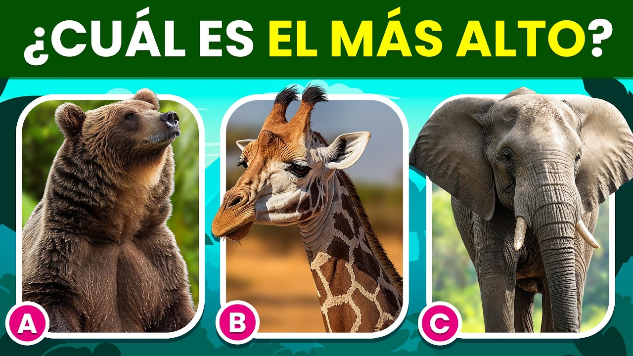 ¿Cuánto sabes de los ANIMALES? 🐶🐯🐼 | Test de Conocimientos - Edición Animal 🐘 | Quiz Animales