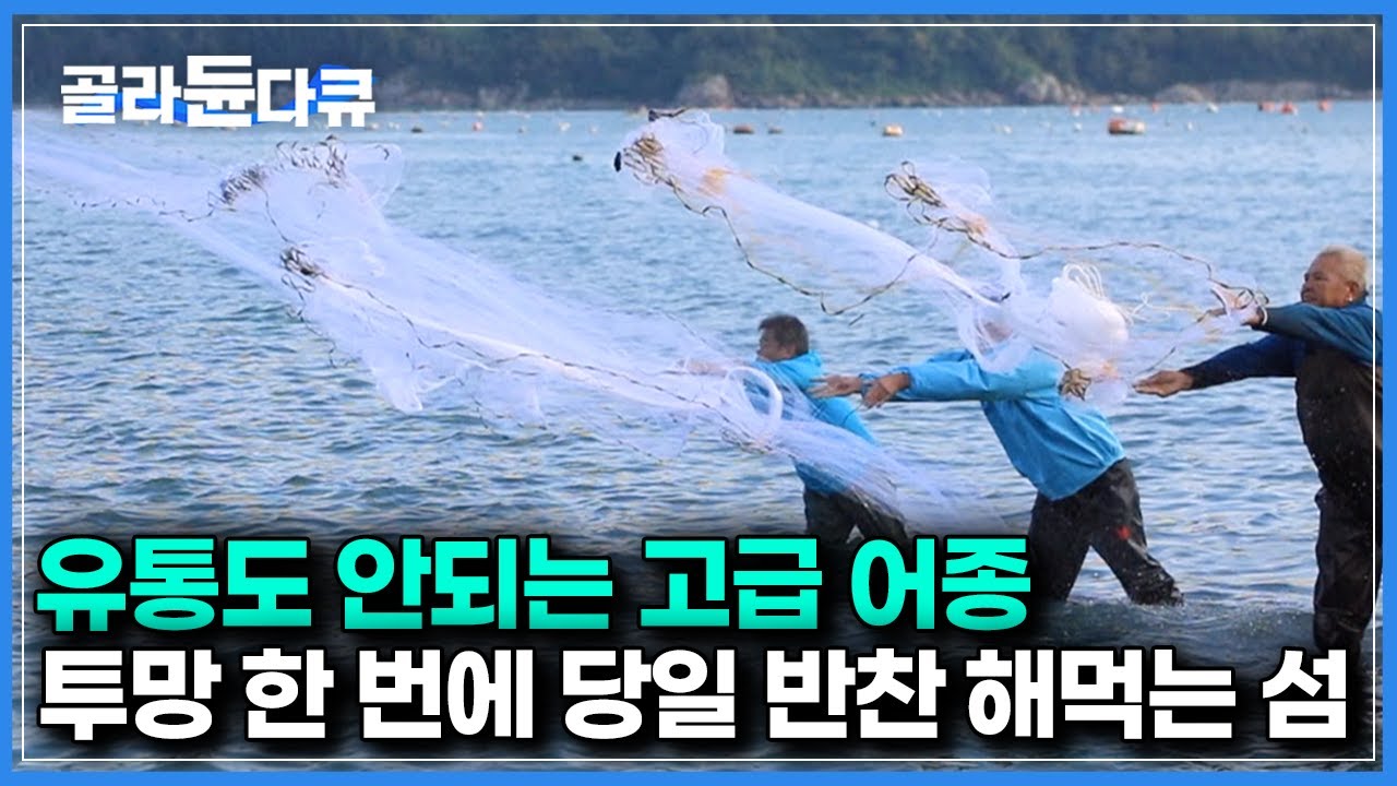그물이 찢어질만큼 잡힌다｜얕은 물에서 투망 한 번에 가득 잡아 올려 밥상 차리는 마을｜#골라듄다큐