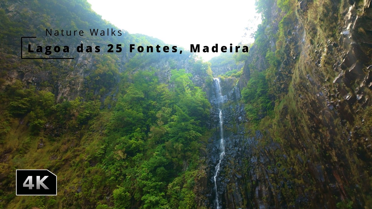 Walking to Lagoa das 25 Fontes | Lush Waterfall Trail in Madeira 4K