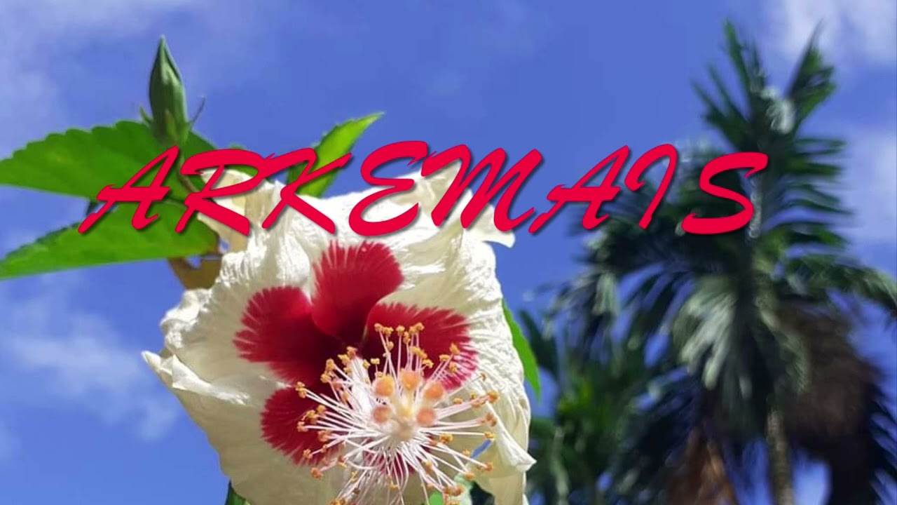 ARKEMAIS - MILLA