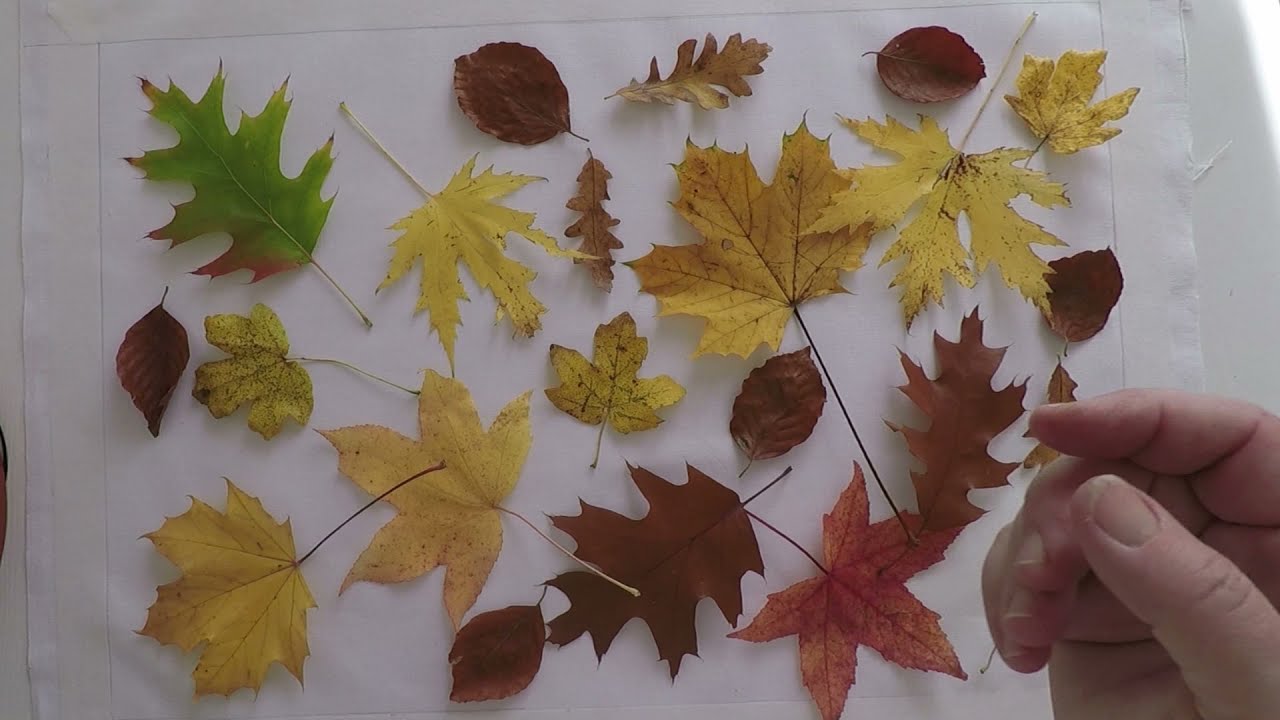 DaisyPainting, come dipingere su stoffa, con facilità, un prato di foglie cadute.