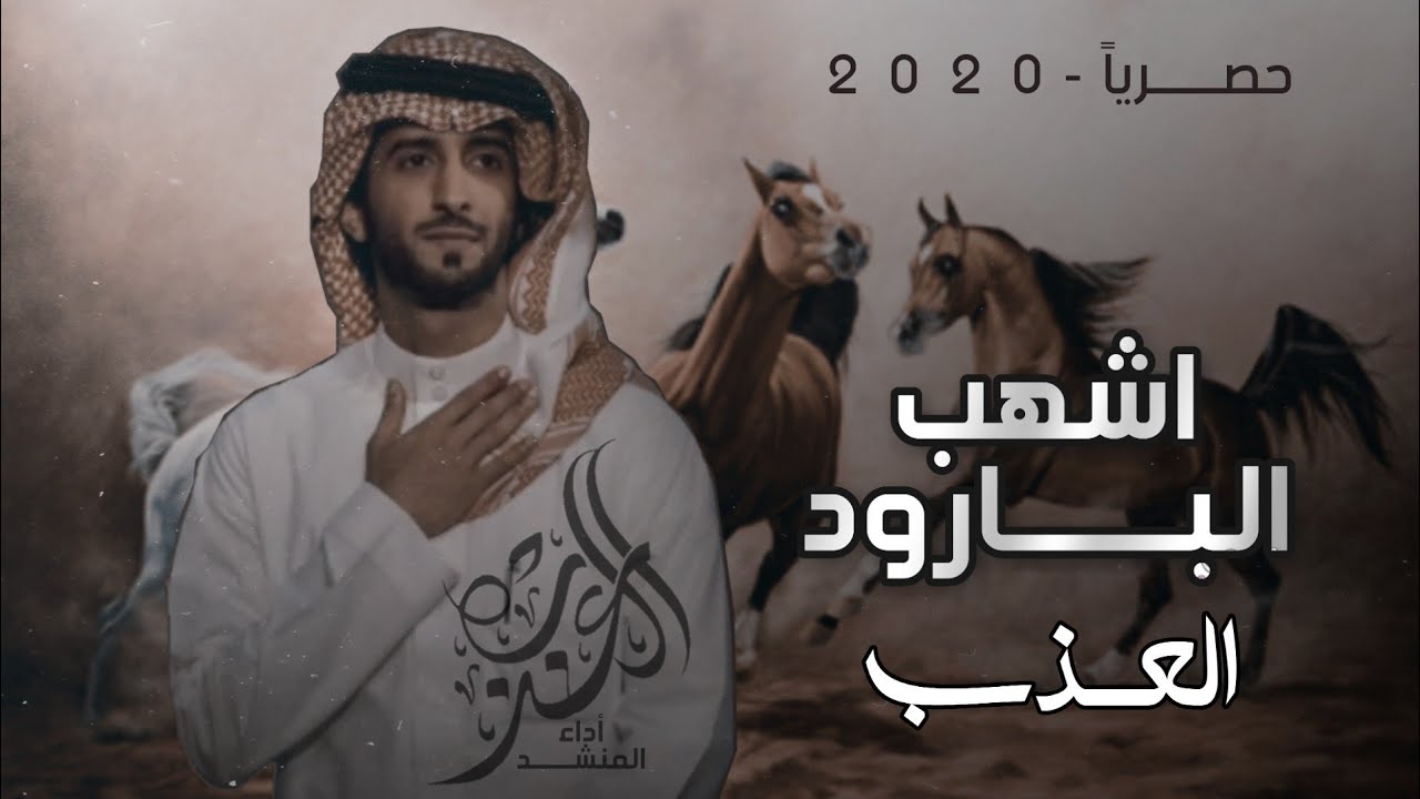 شيلة أربطوا الأحزمة | المصايب ما نشوف انها مصايب | أداء العذب | جديد 2020