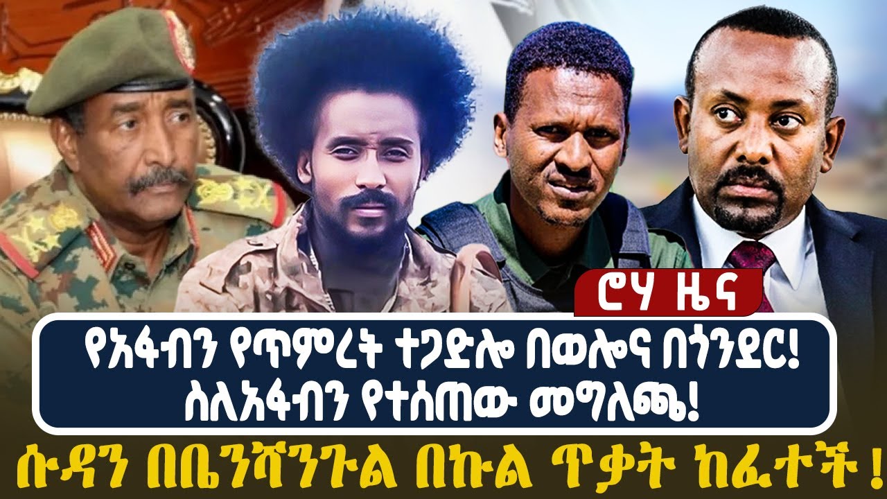 የአፋብን የጥምረት ተጋድሎ በወሎና በጎንደር! ስለአፋብን የተሰጠው መግለጫ! ሱዳን በቤንሻንጉል በኩል ጥቃት ከፈተች!
