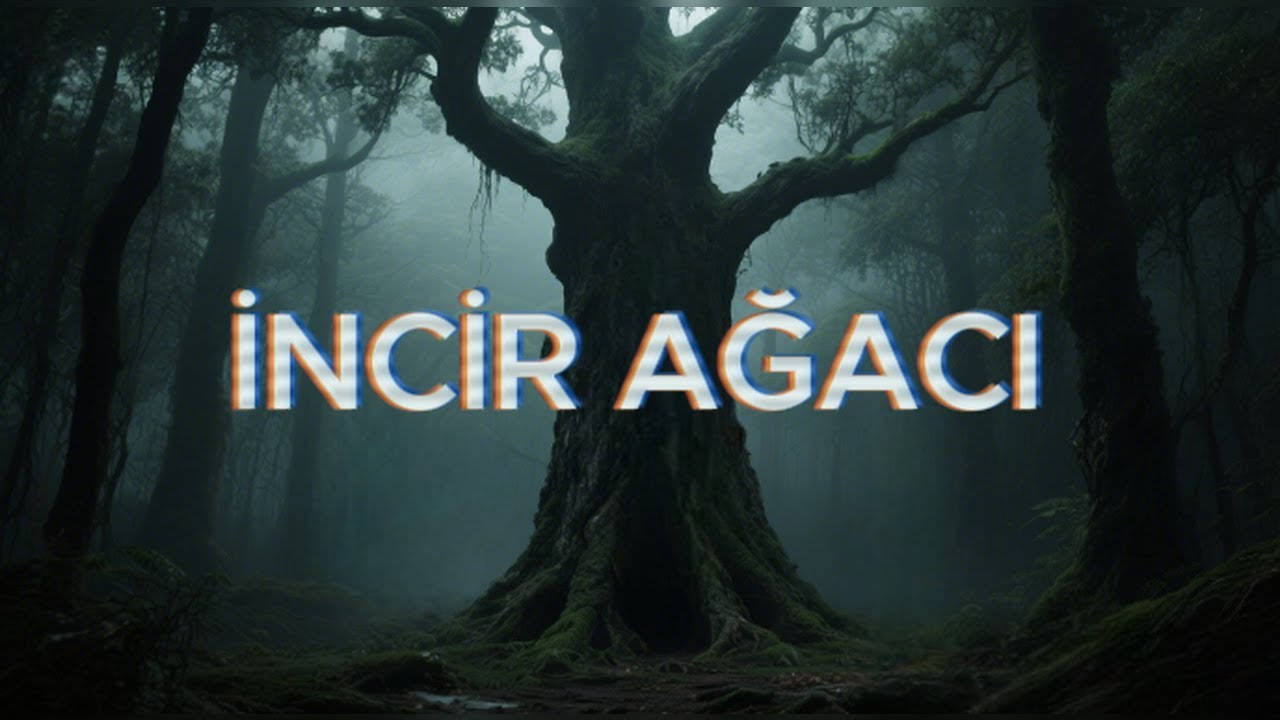İncir Ağacı | Yaşanmış Cin Hikayesi – Bartın Ormanlarında Korku Dolu Bir Gece