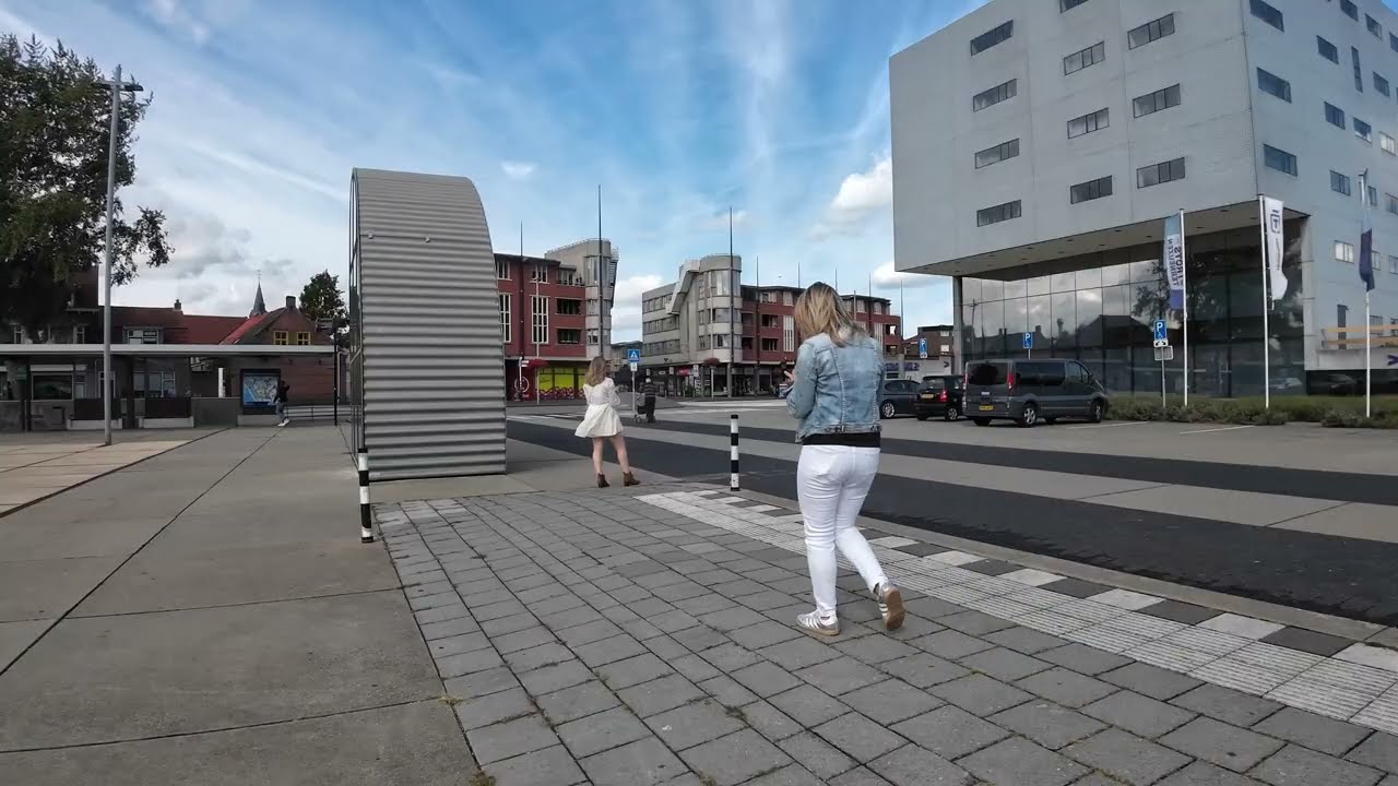 Busvervoer faalt opnieuw in Zeeuws-Vlaanderen: Terneuzen Hulst