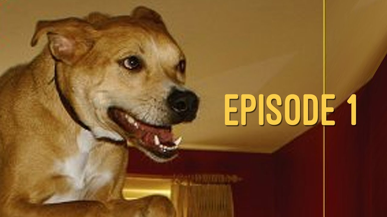 Raditude Podcast w/ FUNKe: Ep. 1