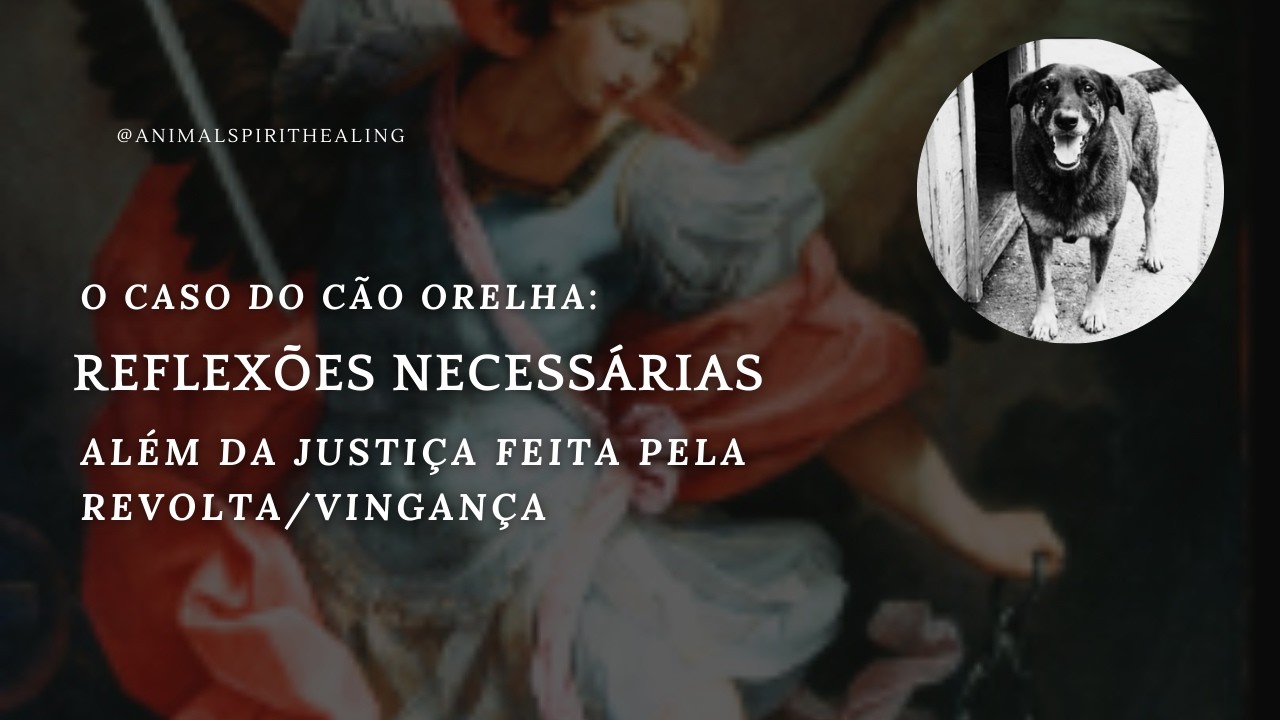 Espiritualidade e Senso de Justiça 