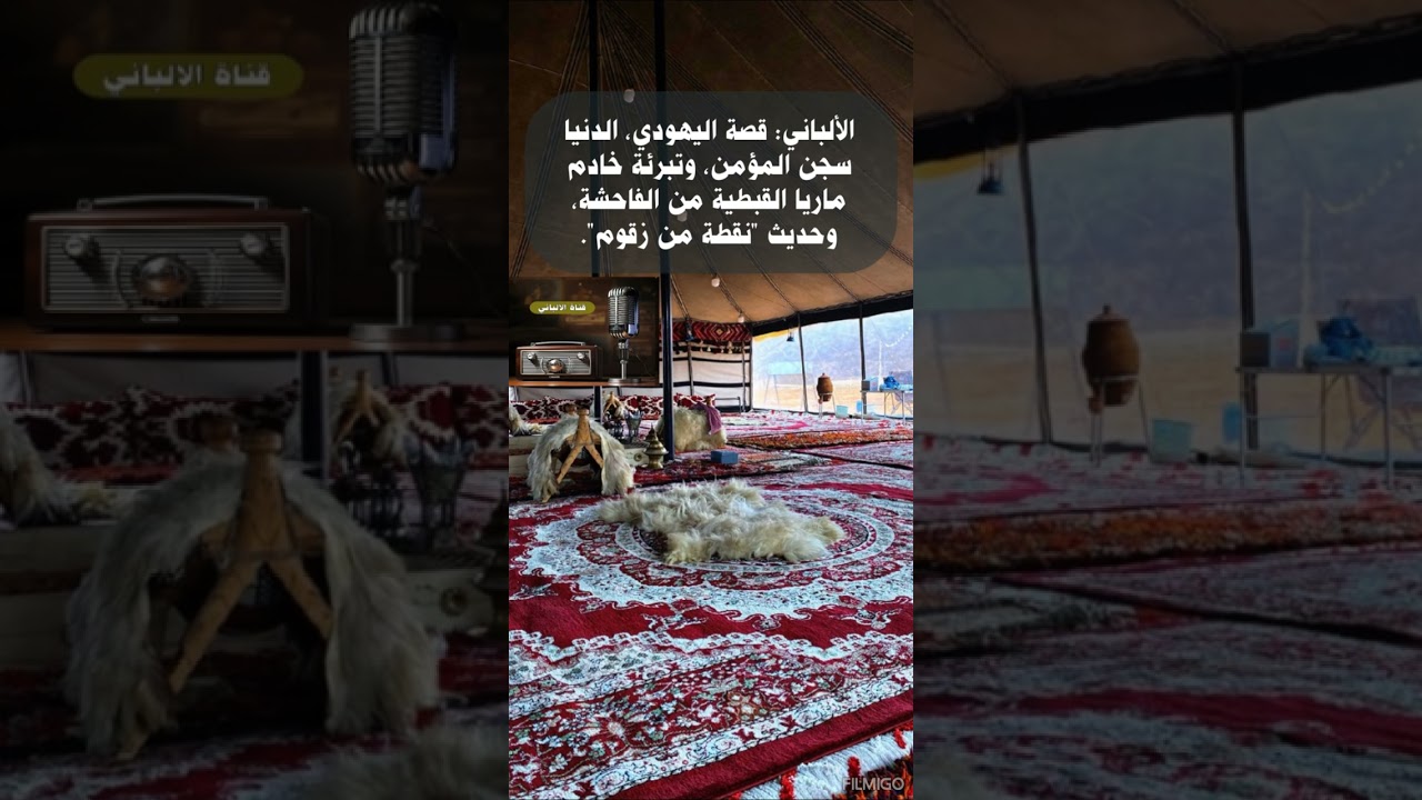 الألباني: قصة اليهودي، الدنيا سجن المؤمن، وتبرئة خادم ماريا القبطية من الفاحشة، وحديث 