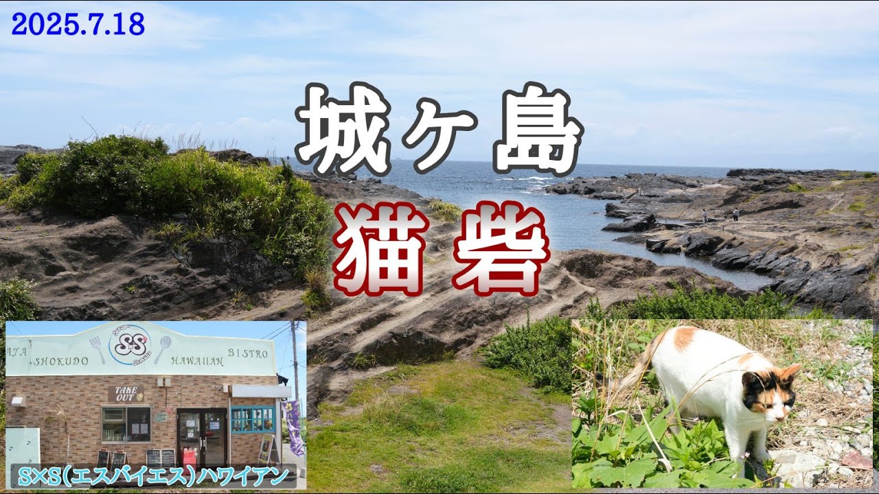 城ヶ島・猫砦 (ねことりで)｜地図上に表記された【猫砦】に行ってきました！昼食にS×S(エスバイエス)でポキ丼！(神奈川県三浦市)