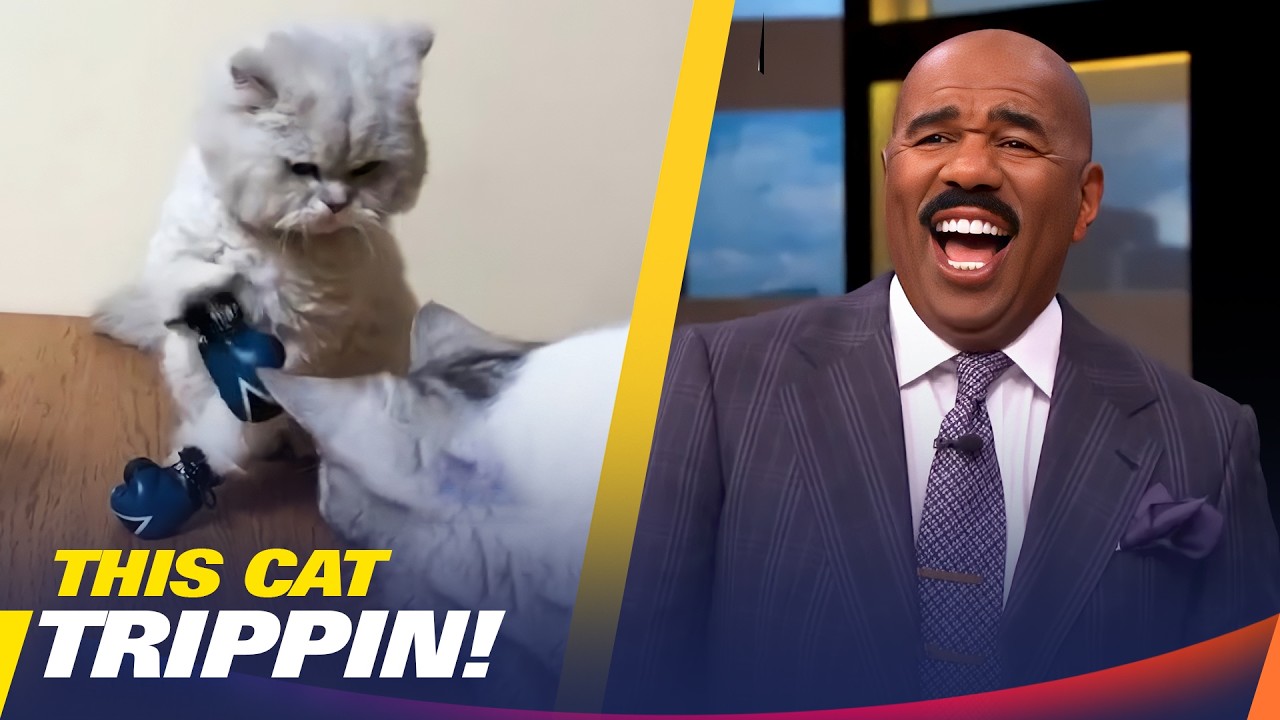 I Regret Pressing Play... This Was Too Funny | Steve Harvey