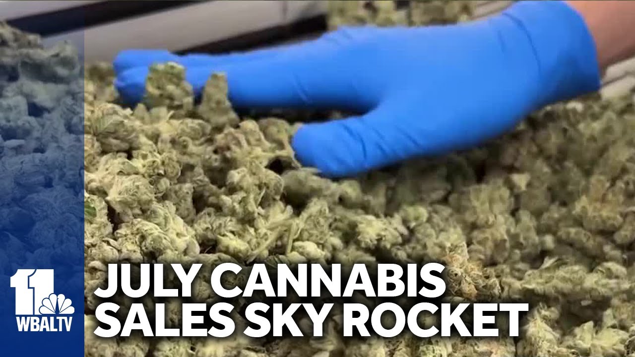 Maryland cannabis sales sky-high in July alone