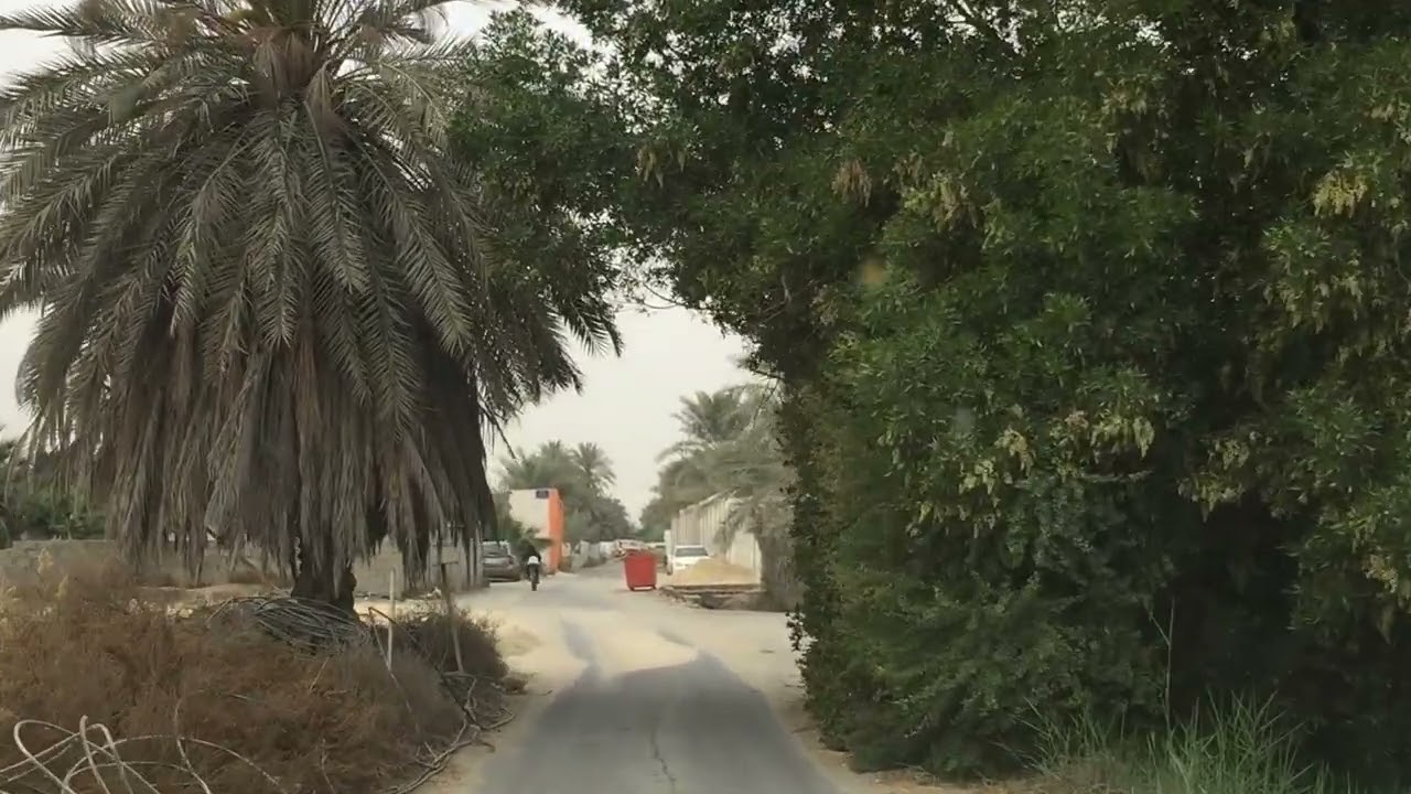 ٧ فبراير، ٢٠٢٦