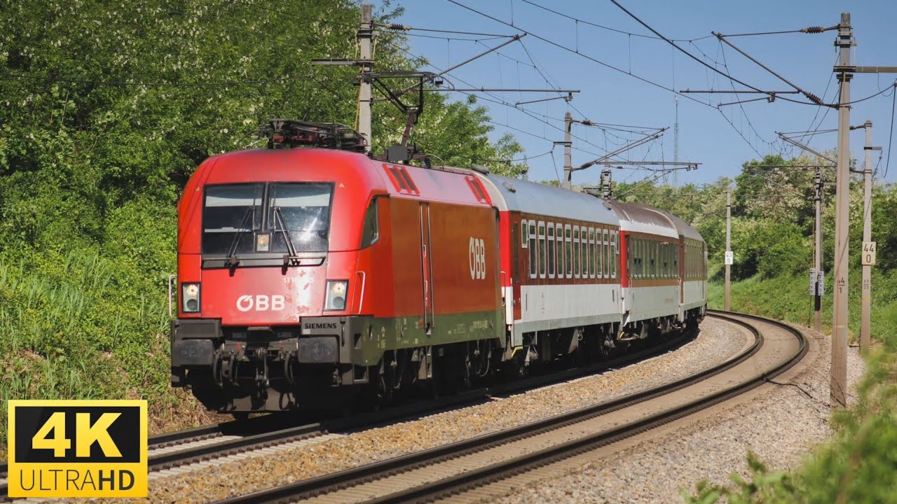 Bruck an der Leitha 5.5.2024 zoom spotting
