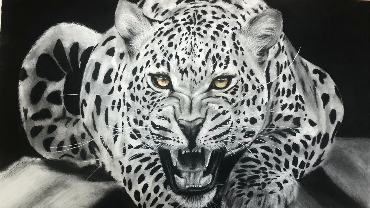 ADIM ADIM GERÇEKÇİ LEOPAR ÇİZİMİ